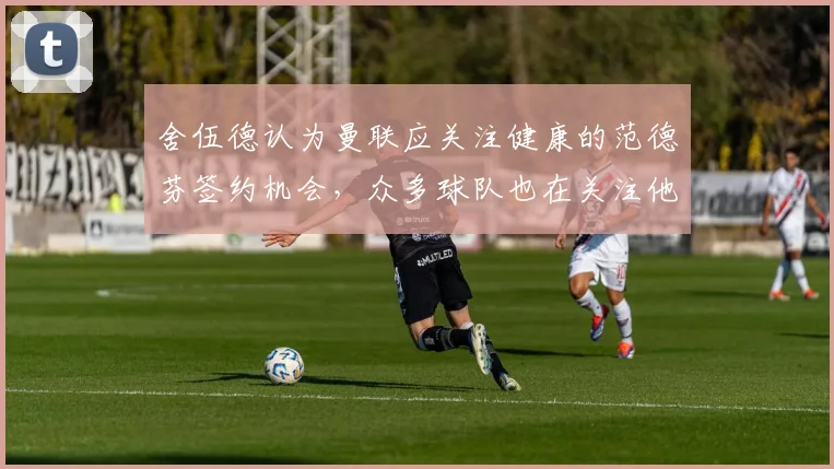 舍伍德认为曼联应关注健康的范德芬签约机会，众多球队也在关注他